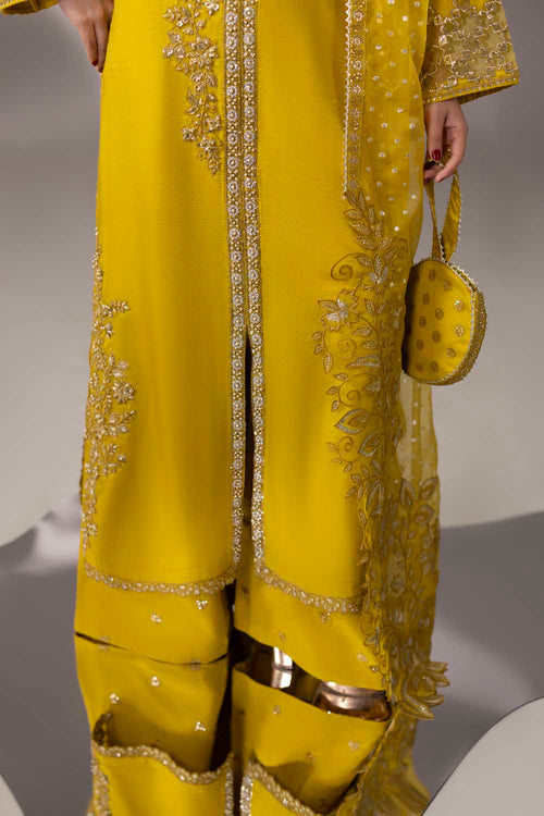 ZR-2635 | DHAANI