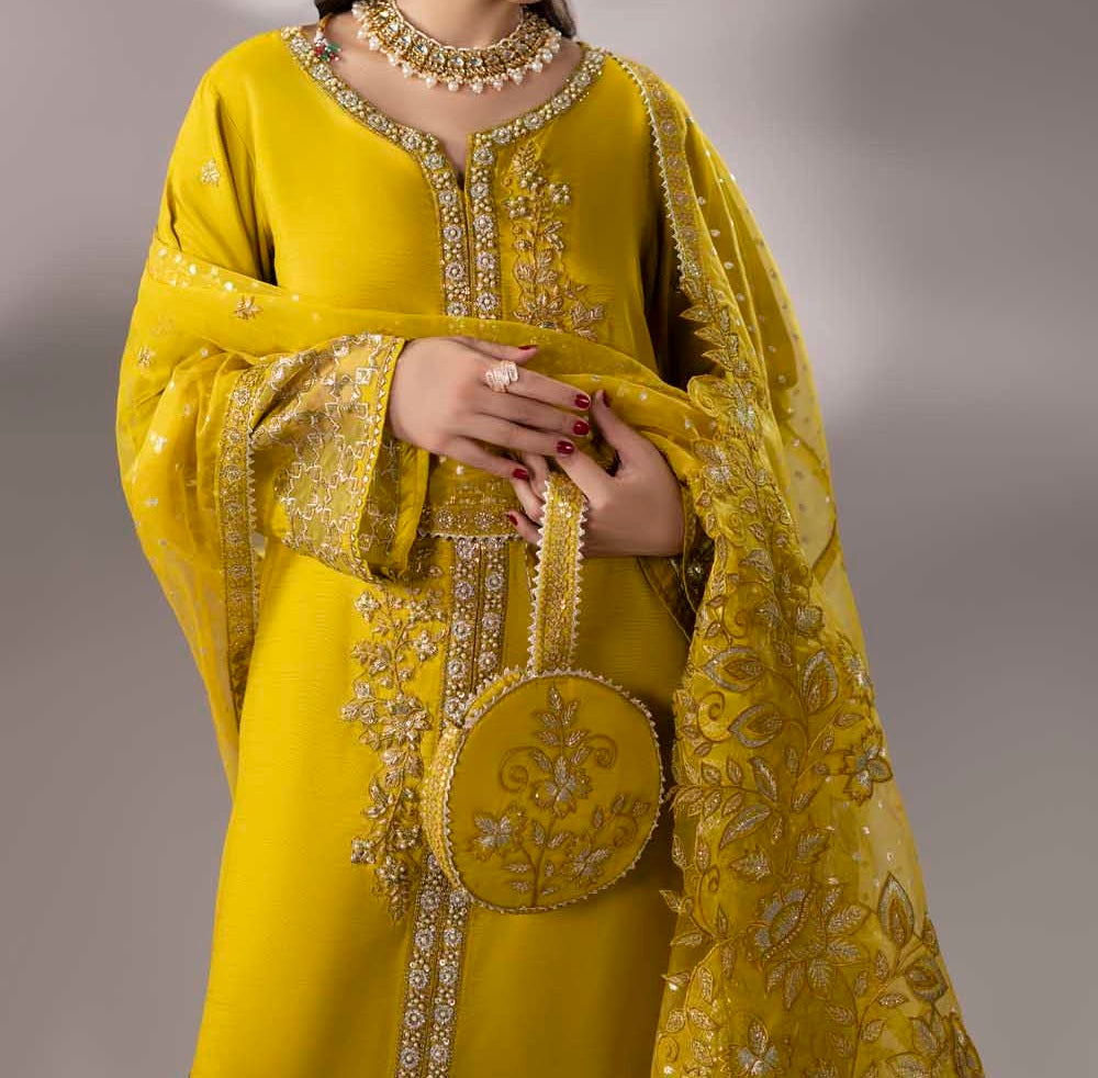 ZR-2635 | DHAANI
