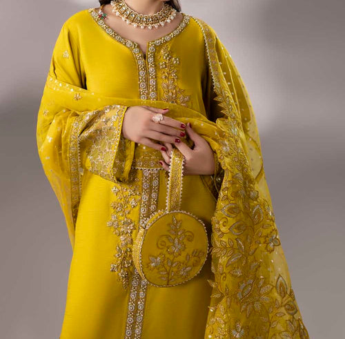 ZR-2635 | DHAANI