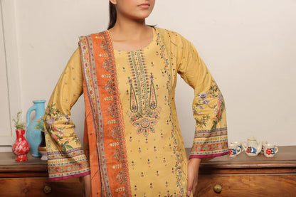 PAK FABRICS LAWN SUIT