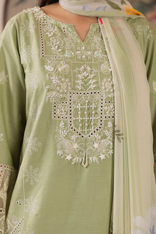 Prehnite-Luxury Pret
