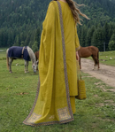 ZR-2628 | DHAANI
